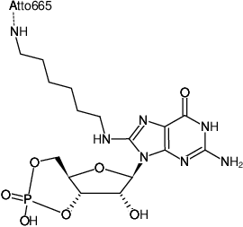 Structural formula of 8-(6-Aminohexyl)-amino-cGMP-ATTO-665 (8-(6-Aminohexyl)-amino-guanosine-3',5'-cyclic monophosphate, labeled with ATTO 665)