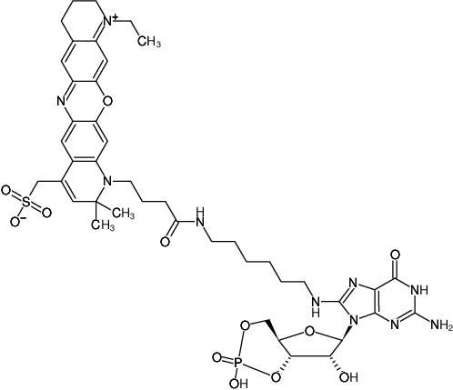 Structural formula of 8-(6-Aminohexyl)-amino-cGMP-ATTO-680 (8-(6-Aminohexyl)-amino-guanosine-3',5'-cyclic monophosphate, labeled with ATTO 680, Triethylammonium salt)