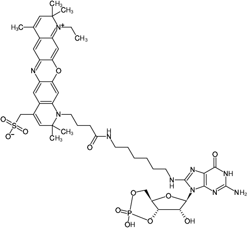 Structural formula of 8-(6-Aminohexyl)-amino-cGMP-ATTO-700 (8-(6-Aminohexyl)-amino-guanosine-3',5'-cyclic monophosphate, labeled with ATTO 700, Triethylammonium salt)