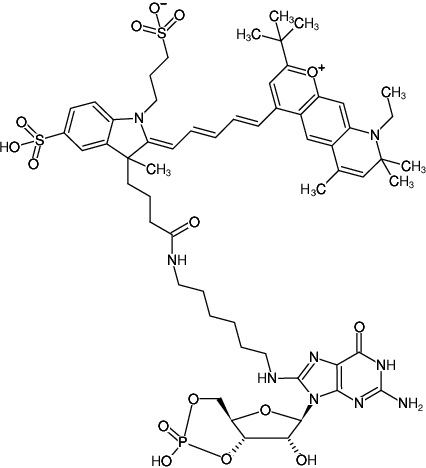 Structural formula of 8-(6-Aminohexyl)-amino-cGMP-DY-751 (8-(6-Aminohexyl)-amino-guanosine-3',5'-cyclic monophosphate, labeled with DY 751, Triethylammonium salt)