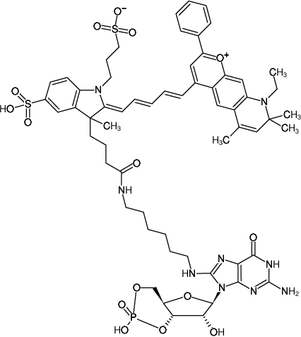 Structural formula of 8-(6-Aminohexyl)-amino-cGMP-DY-776 (8-(6-Aminohexyl)-amino-guanosine-3',5'-cyclic monophosphate, labeled with DY 776)