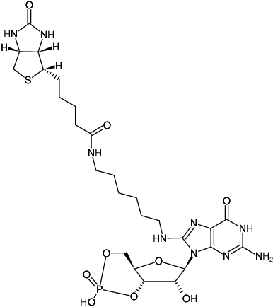 Structural formula of 8-(6-Aminohexyl)-amino-cGMP-Biotin (8-(6-Aminohexyl)-amino-guanosine-3',5'-cyclic monophosphate-Biotin, Triethylammonium salt)