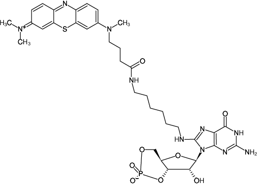 Structural formula of 8-(6-Aminohexyl)-amino-cGMP-ATTO-MB2 (8-(6-Aminohexyl)-amino-guanosine-3',5'-cyclic monophosphate, labeled with ATTO-MB2, Triethylammonium salt)