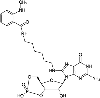 Structural formula of 8-(6-Aminohexyl)-amino-cGMP-MANT (8-(6-Aminohexyl)-amino-guanosine-3',5'-cyclic monophosphate, labeled with MANT, Triethylammonium salt)