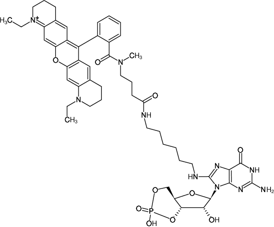 Structural formula of 8-(6-Aminohexyl)-amino-cGMP-ATTO-Rho11 (8-(6-Aminohexyl)-amino-guanosine-3',5'-cyclic monophosphate, labeled with ATTO Rho11, Triethylammonium salt)