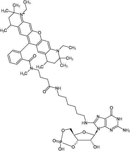 Structural formula of 8-(6-Aminohexyl)-amino-cGMP-ATTO-Rho12 (8-(6-Aminohexyl)-amino-guanosine-3',5'-cyclic monophosphate, labeled with ATTO Rho12, Triethylammonium salt)