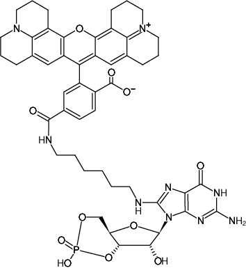 Structural formula of 8-(6-Aminohexyl)-amino-cGMP-6-ROX (8-(6-Aminohexyl)-amino-guanosine-3',5'-cyclic monophosphate, labeled with 6-ROX)