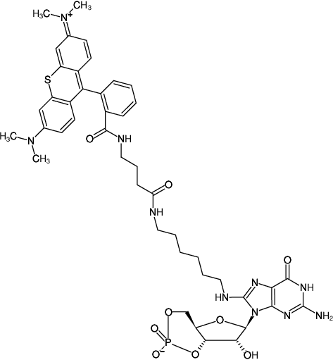 Structural formula of 8-(6-Aminohexyl)-amino-cGMP-ATTO-Thio12 (8-(6-Aminohexyl)-amino-guanosine-3',5'-cyclic monophosphate, labeled with ATTO Thio12)
