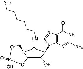 Structural formula of 8-(6-Aminohexyl)-amino-cGMP (8-(6-Aminohexyl)-amino-guanosine-3',5'-cyclic monophosphate, Sodium salt)