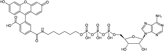 Structural formula of γ-(6-Aminohexyl)-ATP-6-FAM (γ-(6-Aminohexyl)-adenosine-5'-triphosphate, labeled with 6 FAM, Triethylammonium salt)