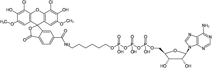 Structural formula of γ-(6-Aminohexyl)-ATP-6-JOE (γ-(6-Aminohexyl)-adenosine-5'-triphosphate, labeled with 6-JOE, Triethylammonium salt)