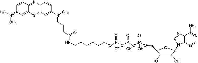 Structural formula of γ-(6-Aminohexyl)-ATP-ATTO-MB2 (γ-(6-Aminohexyl)-adenosine-5'-triphosphate, labeled with ATTO-MB2, Triethylammonium salt)