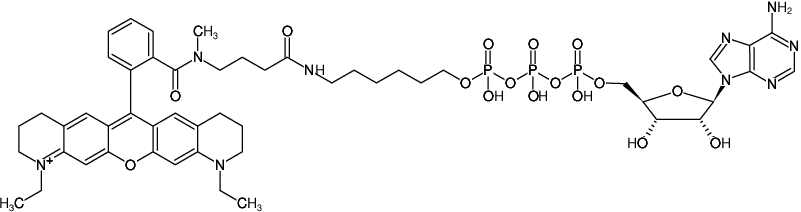 Structural formula of γ-(6-Aminohexyl)-ATP-ATTO-Rho11 (γ-(6-Aminohexyl)-adenosine-5'-triphosphate, labeled with ATTO Rho11, Triethylammonium salt)