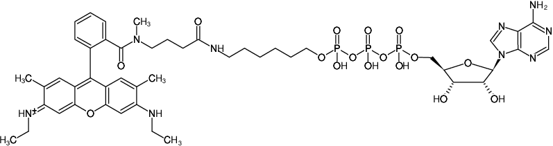 Structural formula of γ-(6-Aminohexyl)-ATP-ATTO-Rho6G (γ-(6-Aminohexyl)-adenosine-5'-triphosphate, labeled with ATTO Rho6G, Triethylammonium salt)