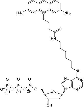 Structural formula of N6-(6-Aminohexyl)-dATP-ATTO-465 (N6-(6-Aminohexyl)-2'-deoxyadenosine-5'-triphosphate, labeled with ATTO 465, Triethylammonium salt)