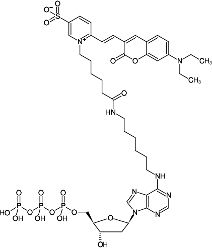 Structural formula of N6-(6-Aminohexyl)-dATP-DY-480XL (N6-(6-Aminohexyl)-2'-deoxyadenosine-5'-triphosphate, labeled with DY 480XL, Triethylammonium salt)