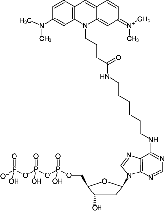Structural formula of N6-(6-Aminohexyl)-dATP-ATTO-495 (N6-(6-Aminohexyl)-2'-deoxyadenosine-5'-triphosphate, labeled with ATTO 495, Triethylammonium salt)