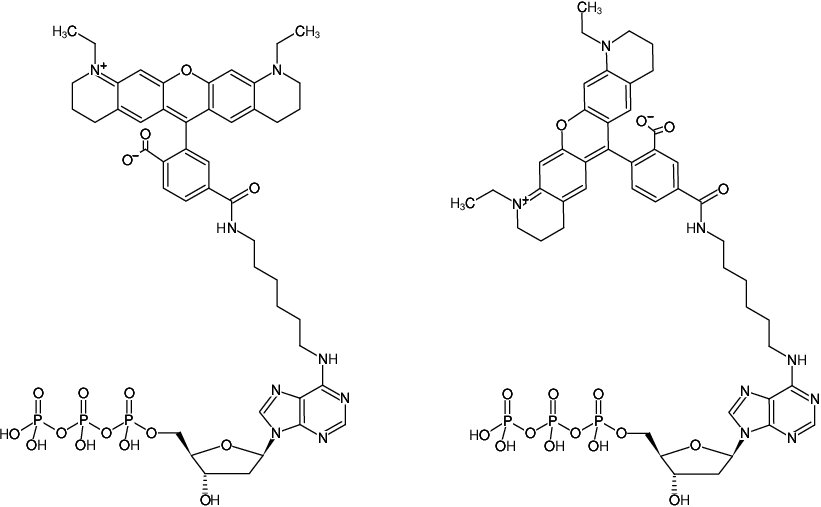 Structural formula of N6-(6-Aminohexyl)-dATP-ATTO-565 (N6-(6-Aminohexyl)-2'-deoxyadenosine-5'-triphosphate, labeled with ATTO 565, Triethylammonium salt)