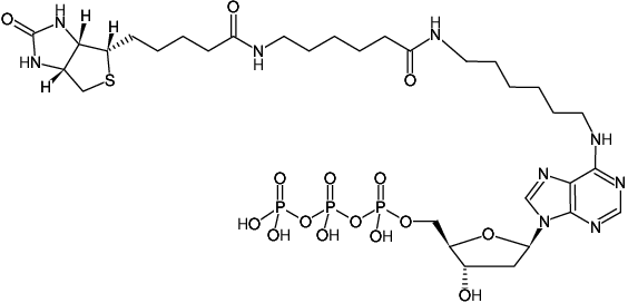 Structural formula of Biotin-14-dATP (Biotin-14-N6-(6-Aminohexyl)-dATP, Triethylammonium salt)