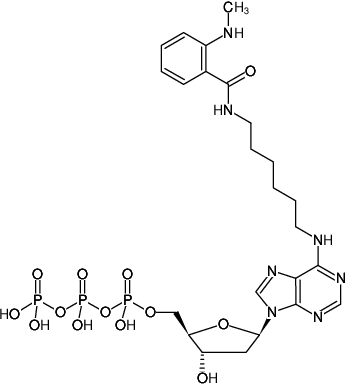 Structural formula of N6-(6-Aminohexyl)-dATP-MANT (N6-(6-Aminohexyl)-2'-deoxyadenosine-5'-triphosphate, labeled with MANT, Triethylammonium salt)