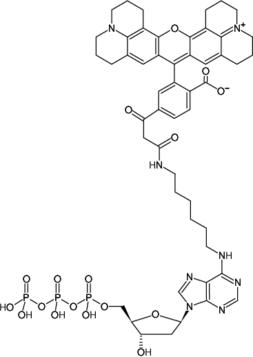 Structural formula of N6-(6-Aminohexyl)-dATP-6-ROX (N6-(6-Aminohexyl)-2'-deoxyadenosine-5'-triphosphate, labeled with 6-ROX, Triethylammonium salt)