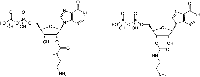 Structural formula of EDA-IDP (2'/3'-O-(2-Aminoethyl-carbamoyl)-Inosine-5'-diphosphate, Sodium salt)