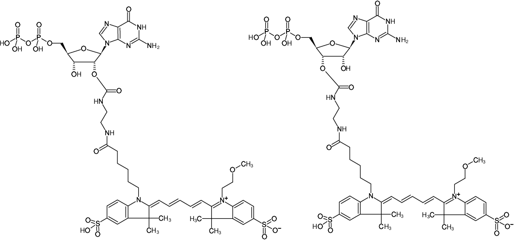 Structural formula of EDA-GDP-DY-647P1 (2'/3'-O-(2-Aminoethyl-carbamoyl)-Guanosine-5'-diphosphate, labeled with DY-647P1, Triethylammonium salt)