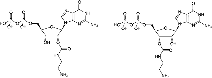 Structural formula of EDA-GDP (2'/3'-O-(2-Aminoethyl-carbamoyl)-Guanosine-5'-diphosphate, Sodium salt)