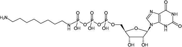 Structural formula of γ-[(8-Aminooctyl)-imido]-XTP (γ-[(8-Aminooctyl)-imido]-xanthosine-5'-triphosphate, Sodium salt)