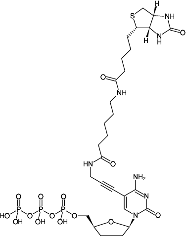 Structural formula of Biotin-11-ddCTP (Biotin-X-5-Propargylamino-ddCTP, γ-[N-(Biotin-6-amino-hexanoyl)]-5-propargylamino-2',3'-dideoxycytidine-5'-triphosphate, Triethylammonium salt)
