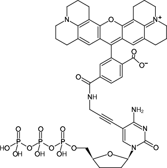 Structural formula of 5-Propargylamino-ddCTP-6-ROX (5-Propargylamino-2',3'-dideoxycytidine-5'-triphosphate, labeled with 6-ROX, Triethylammonium salt)