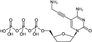 Structural formula of 5-Propargylamino-ddCTP (5-Propargylamino-2',3'-dideoxycytidine-5'-triphosphate, Sodium salt)