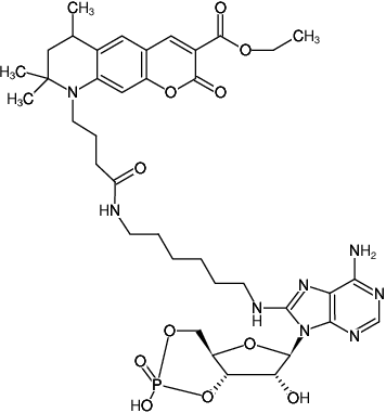 Structural formula of 8-(6-Aminohexyl)-amino-cAMP-ATTO-425 (8-(6-Aminohexyl)-amino-adenosine-3',5'-cyclic monophosphate, labeled with ATTO 425, Triethylammonium salt)