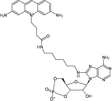 Structural formula of 8-(6-Aminohexyl)-amino-cAMP-ATTO-465 (8-(6-Aminohexyl)-amino-adenosine-3',5'-cyclic monophosphate, labeled with ATTO 465, Triethylammonium salt)