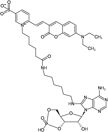 Structural formula of 8-(6-Aminohexyl)-amino-cAMP-DY-480XL (8-(6-Aminohexyl)-amino-adenosine-3',5'-cyclic monophosphate, labeled with DY 480XL, Triethylammonium salt)