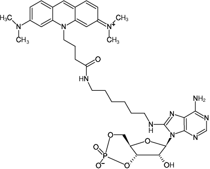 Structural formula of 8-(6-Aminohexyl)-amino-cAMP-ATTO-495 (8-(6-Aminohexyl)-amino-adenosine-3',5'-cyclic monophosphate, labeled with ATTO 495, Triethylammonium salt)