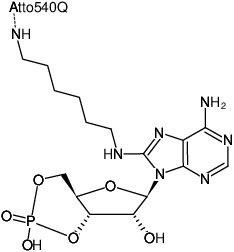 Structural formula of 8-(6-Aminohexyl)-amino-cAMP-ATTO-540Q (8-(6-Aminohexyl)-amino-adenosine-3',5'-cyclic monophosphate, labeled with ATTO 540Q, Triethylammonium salt)