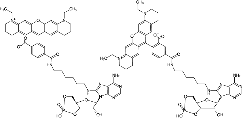 Structural formula of 8-(6-Aminohexyl)-amino-cAMP-ATTO-565 (8-(6-Aminohexyl)-amino-adenosine-3',5'-cyclic monophosphate, labeled with ATTO 565, Triethylammonium salt)