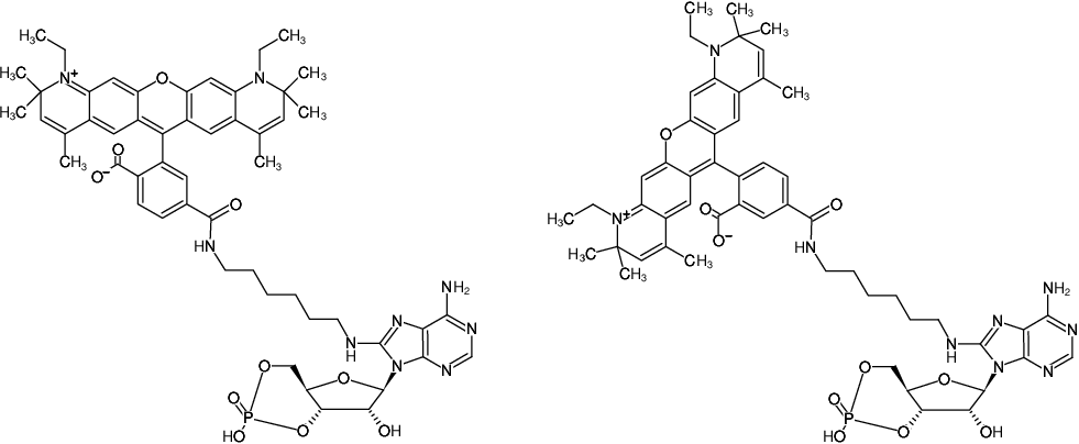 Structural formula of 8-(6-Aminohexyl)-amino-cAMP-ATTO-590 (8-(6-Aminohexyl)-amino-adenosine-3',5'-cyclic monophosphate, labeled with ATTO 590, Triethylammonium salt)