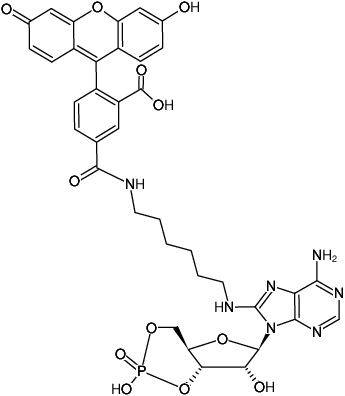 Structural formula of 8-(6-Aminohexyl)-amino-cAMP-5-FAM (8-(6-Aminohexyl)-amino-adenosine-3',5'-cyclic monophosphate, labeled with 5 FAM, Triethylammonium salt)