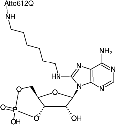 Structural formula of 8-(6-Aminohexyl)-amino-cAMP-ATTO-612Q (8-(6-Aminohexyl)-amino-adenosine-3',5'-cyclic monophosphate, labeled with ATTO 612Q, Triethylammonium salt)