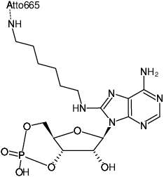 Structural formula of 8-(6-Aminohexyl)-amino-cAMP-ATTO-665 (8-(6-Aminohexyl)-amino-adenosine-3',5'-cyclic monophosphate, labeled with ATTO 665, Triethylammonium salt)