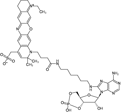 Structural formula of 8-(6-Aminohexyl)-amino-cAMP-ATTO-680 (8-(6-Aminohexyl)-amino-adenosine-3',5'-cyclic monophosphate, labeled with ATTO 680, Triethylammonium salt)