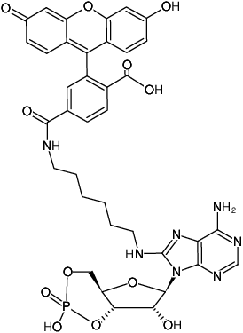 Structural formula of 8-(6-Aminohexyl)-amino-cAMP-6-FAM (8-(6-Aminohexyl)-amino-adenosine-3',5'-cyclic monophosphate, labeled with 6 FAM, Triethylammonium salt)