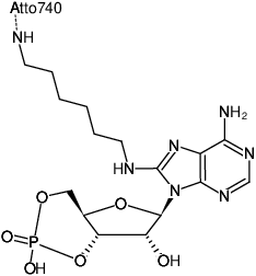 Structural formula of 8-(6-Aminohexyl)-amino-cAMP-ATTO-740 (8-(6-Aminohexyl)-amino-adenosine-3',5'-cyclic monophosphate, labeled with ATTO 740, Triethylammonium salt)