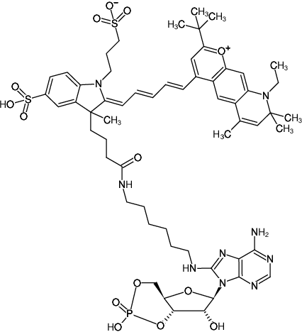 Structural formula of 8-(6-Aminohexyl)-amino-cAMP-DY-751 (8-(6-Aminohexyl)-amino-adenosine-3',5'-cyclic monophosphate, labeled with DY 751, Triethylammonium salt)