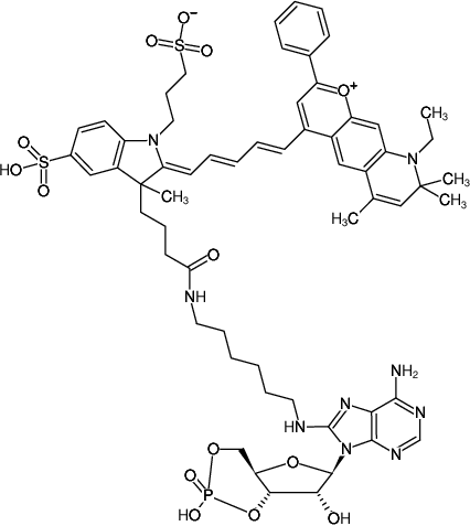 Structural formula of 8-(6-Aminohexyl)-amino-cAMP-DY-776 (8-(6-Aminohexyl)-amino-adenosine-3',5'-cyclic monophosphate, labeled with DY 776, Triethylammonium salt)