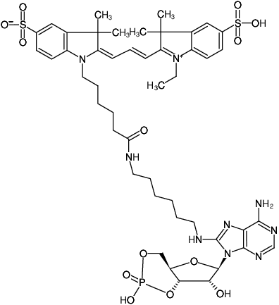 Structural formula of 8-(6-Aminohexyl)-amino-cAMP-Cy3 (8-(6-Aminohexyl)-amino-adenosine-3',5'-cyclic monophosphate, labeled with Cy3, Triethylammonium salt)