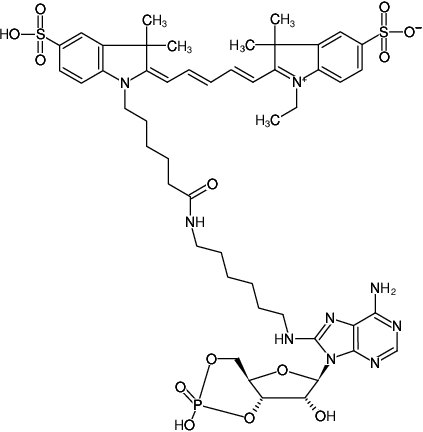 Structural formula of 8-(6-Aminohexyl)-amino-cAMP-Cy5 (8-(6-Aminohexyl)-amino-adenosine-3',5'-cyclic monophosphate, labeled with Cy5, Triethylammonium salt)