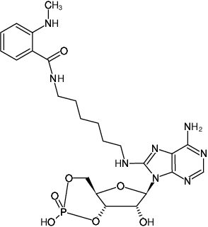 Structural formula of 8-(6-Aminohexyl)-amino-cAMP-MANT (8-(6-Aminohexyl)-amino-adenosine-3',5'-cyclic monophosphate, labeled with MANT, Triethylammonium salt)